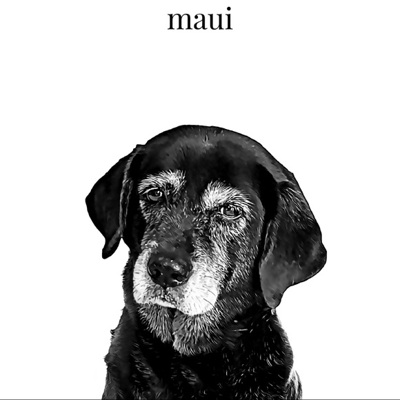 Meet your Posher, Nicholas - Picture 1 of 1